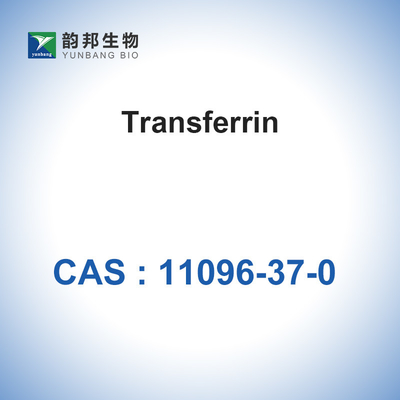 Энзимы катализаторов CAS 11096-37-0 биологические/человеческий трансферрофактор Holo
