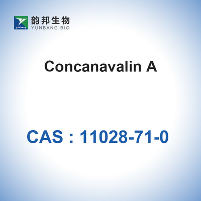 CAS 11028-71-0 Concanavalin A от Canavalia Ensiformis Jack Bean