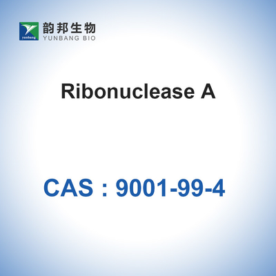 РНКаза рибонуклеаза a от глупого панкреаса биологического CAS 9001-99-4