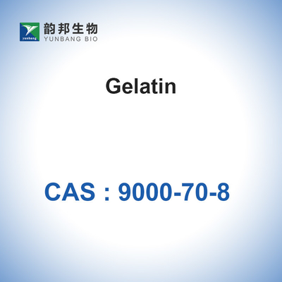 Загустка губки желатина порошка желатина CAS 9000-70-8 Absorbable