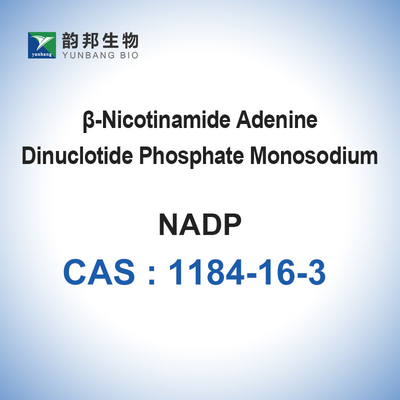 Энзимы CAS 1184-16-3 катализаторов мононатриевого соли NADP биологические