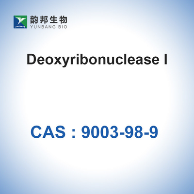 Дезоксирибонуклеаза i DNase i (&gt;400u/Mg) от глупого панкреаса CAS 9003-98-9