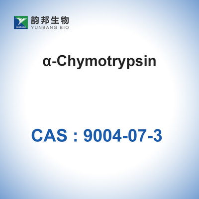9004-07-3 биологический α-химотрипсин химотрипсина энзимов катализаторов (&gt;1200u/Mg)