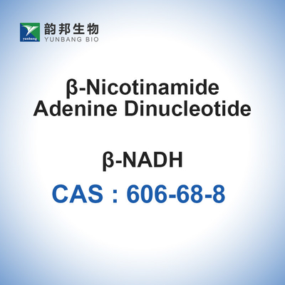 Гидрат CAS 606-68-8 Dinucleotide аденина никотинамида β-NADH β NADH
