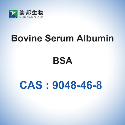 Альбумин глупой сыворотки пудрит CAS 9048-46-8 биохимический реагент BSA лиофилизовал порошок
