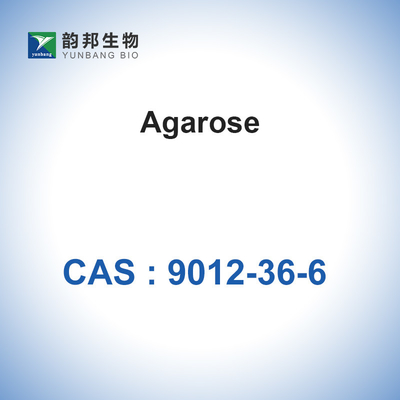 Гликозид BioReagent агарозы CAS 9012-36-6 биохимический
