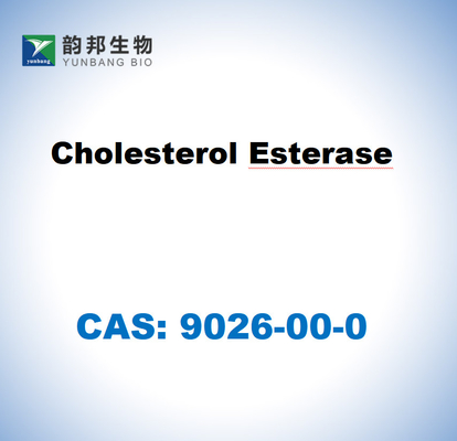 CAS 9026-00-0 Холестериновая эстераза от Pseudomonas fluorescens