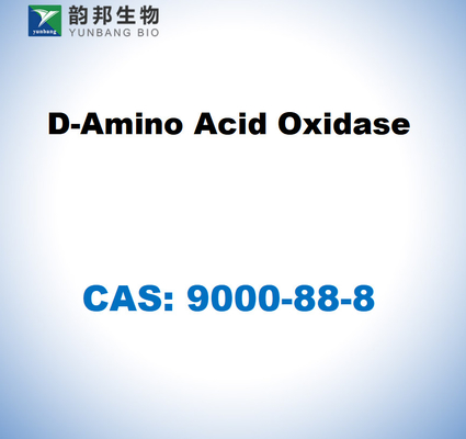 CAS 9000-88-8 Оксидаза D-аминокислоты из почки свиней
