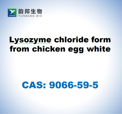 CAS 9066-59-5 Лизозимхлоридная форма из белого куриного яйца