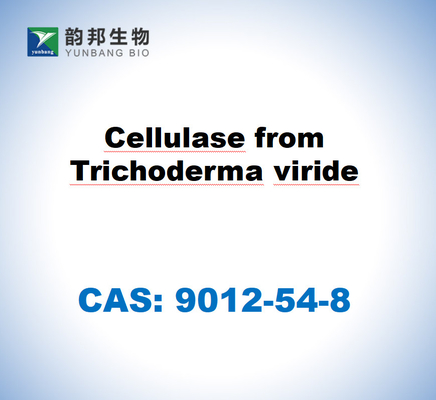 CAS 9012-54-8 Целюлаза от триходермы вируда