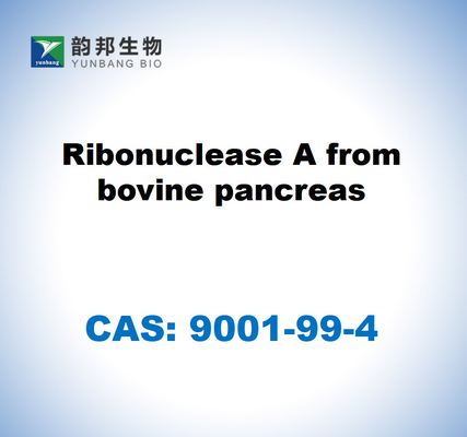 CAS 9001-99-4 Рибонуклеаза А из коровьей поджелудочной железы