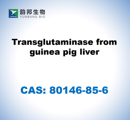 CAS 80146-85-6 Трансглютаминаза из печени морской свинки