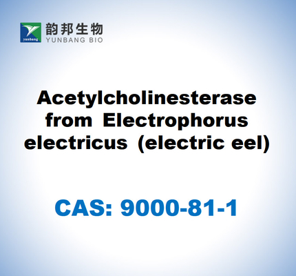CAS 9000-81-1 Бутирилхолинестераза из сыворотки лошадей