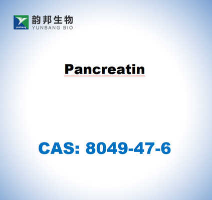 CAS 8049-47-6 Панкреатин из поджелудочной железы свиней
