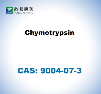 α-Химотрипсин 9004-07-3 из поджелудочной железы крупного рогатого скота USP Grade ((1500u/Mg)