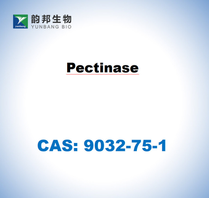 CAS 9032-75-1 Пектиназа из Aspergillus niger