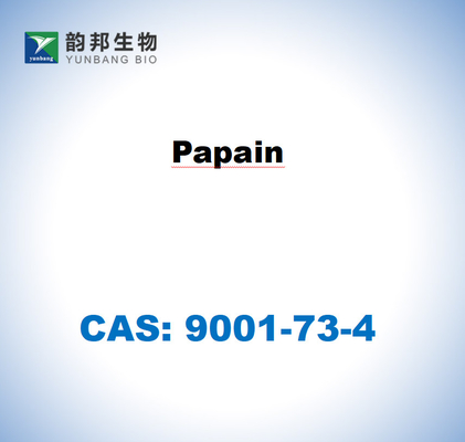 CAS 9001-73-4 Папаин из латекса папайи