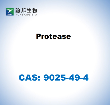 CAS 9025-49-4 Протеаз из Aspergillus saitoi