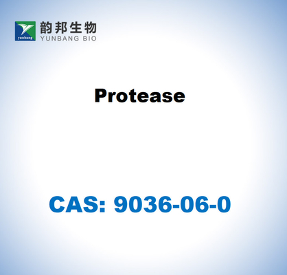 CAS 9036-06-0 Протеаза от Streptomyces griseus