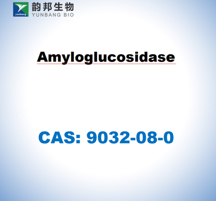 CAS 9032-08-0 Амилоглюкозидаза из Aspergillus niger
