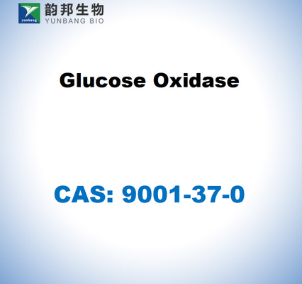 CAS 9001-37-0 Окисление глюкозы из Aspergillus niger