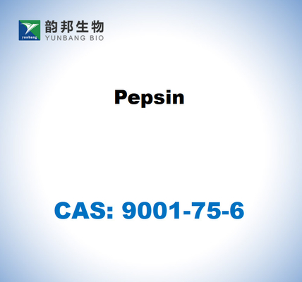 CAS 9001-75-6 Пепсин из слизистой оболочки желудка свиней