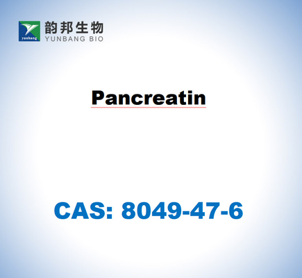 CAS 8049-47-6 Панкреатин из поджелудочной железы свиней