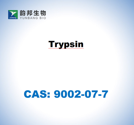 CAS 9002-07-7 Трипсин из поджелудочной железы свиней