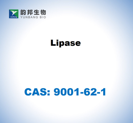 CAS 9001-62-1 Липаза от Candida rugosa