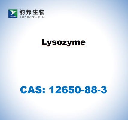 CAS 12650-88-3 Лизозим из белого куриного яйца