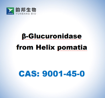 CAS 9001-45-0 В-глюкуронидаза из хеликса Поматии