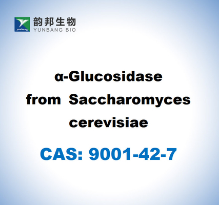 CAS 9001-42-7 А-Глюкозидаза от Saccharomyces Cerevisiae