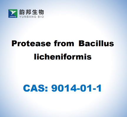 CAS 9014-01-1 Протеаза от Bacillus Licheniformis