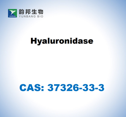 CAS 37326-33-3 Гиалуронидаза из яичек крупного рогатого скота
