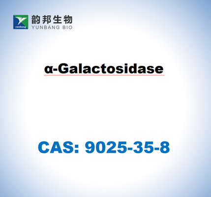 CAS 9025-35-8 А-галактозидаза от Aspergillus Niger