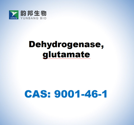CAS 9001-46-1 Дегидрогеназа, глутамат