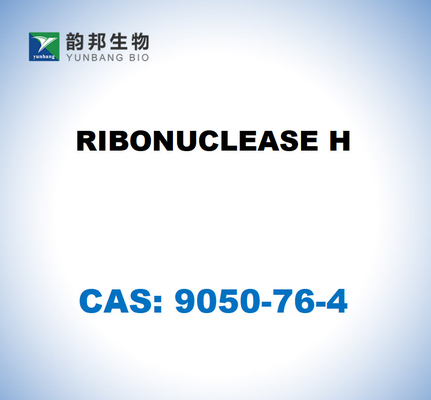 CAS 9001-99-4 Рибонуклеаз H