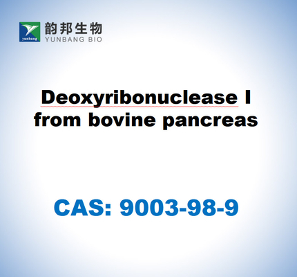 CAS 9003-98-9 Дезоксирибонуклеаза I из поджелудочной железы крупного рогатого скота