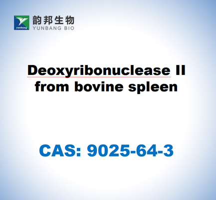 CAS 9025-64-3 Дезоксирибонуклеаза II из коровьей селезенки