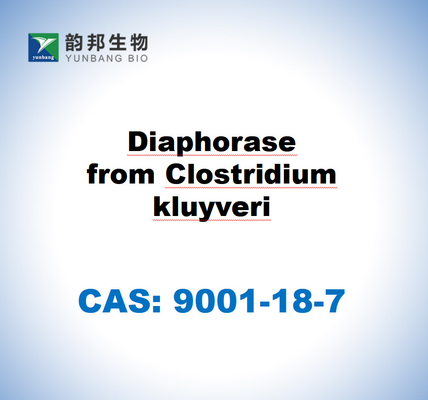 CAS 9001-18-7 Диафораза из Clostridium kluyveri
