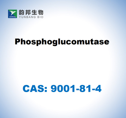 CAS 9001-81-4 Фосфоглюкомутаза EC 5.4.2.2
