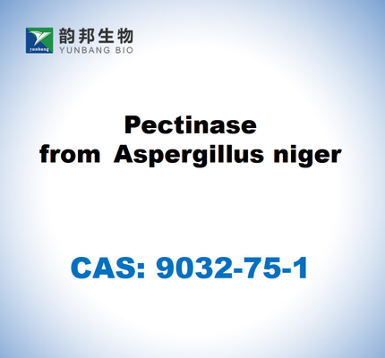 CAS 9032-75-1 Пектиназа из Aspergillus niger