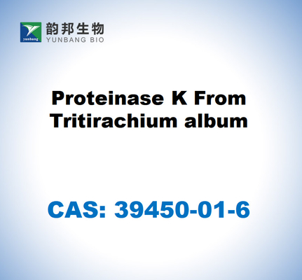 CAS 39450-01-6 протеиназа K из тритирахиевого альбома