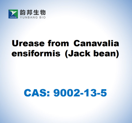CAS 9002-13-5 Мочевая кислота из Canavalia ensiformis