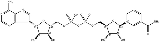 CAS 4090-29-3 Тионикотинамид аденин динуклеотид