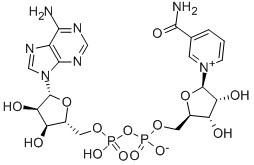 CAS 53-84-9 Β-Никотинамид аденодин динуклеотид гидрат