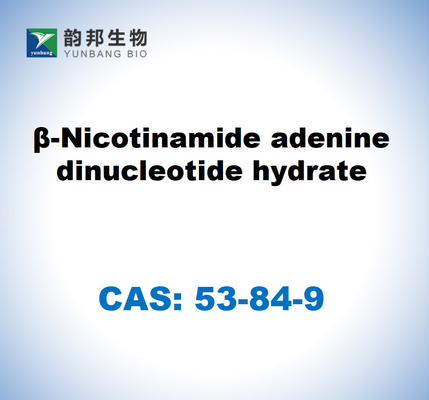 CAS 53-84-9 Β-Никотинамид аденодин динуклеотид гидрат
