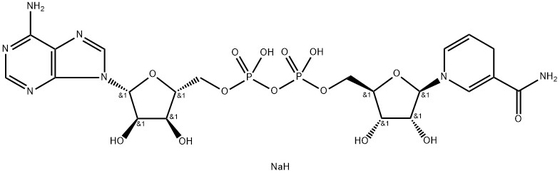 CAS 606-68-8 NADH, динатрий, β-никотинамид аденодинонуклеотид, гидрат динатриевой соли