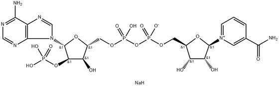 CAS 24292-60-2 NADP, динатриевая соль