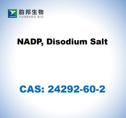 CAS 24292-60-2 NADP, динатриевая соль